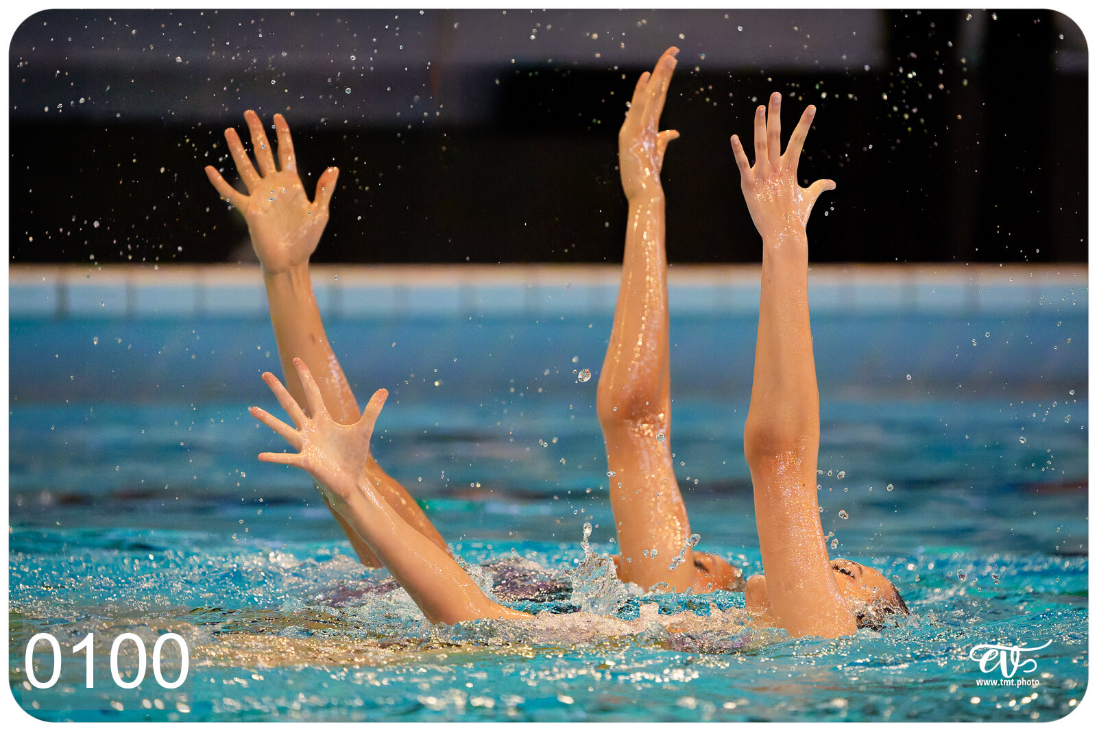 CHAMPIONNAT DE FRANCE DE NATATiON ARTISTIQUE N1 & ELITE 2026